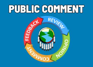 Public Comment
