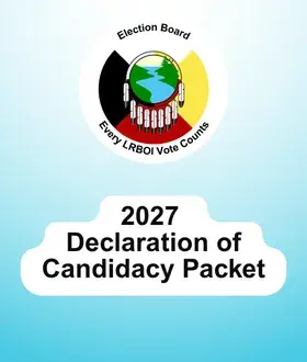 2027 Declaration of Candidacy Packet NEWS icon