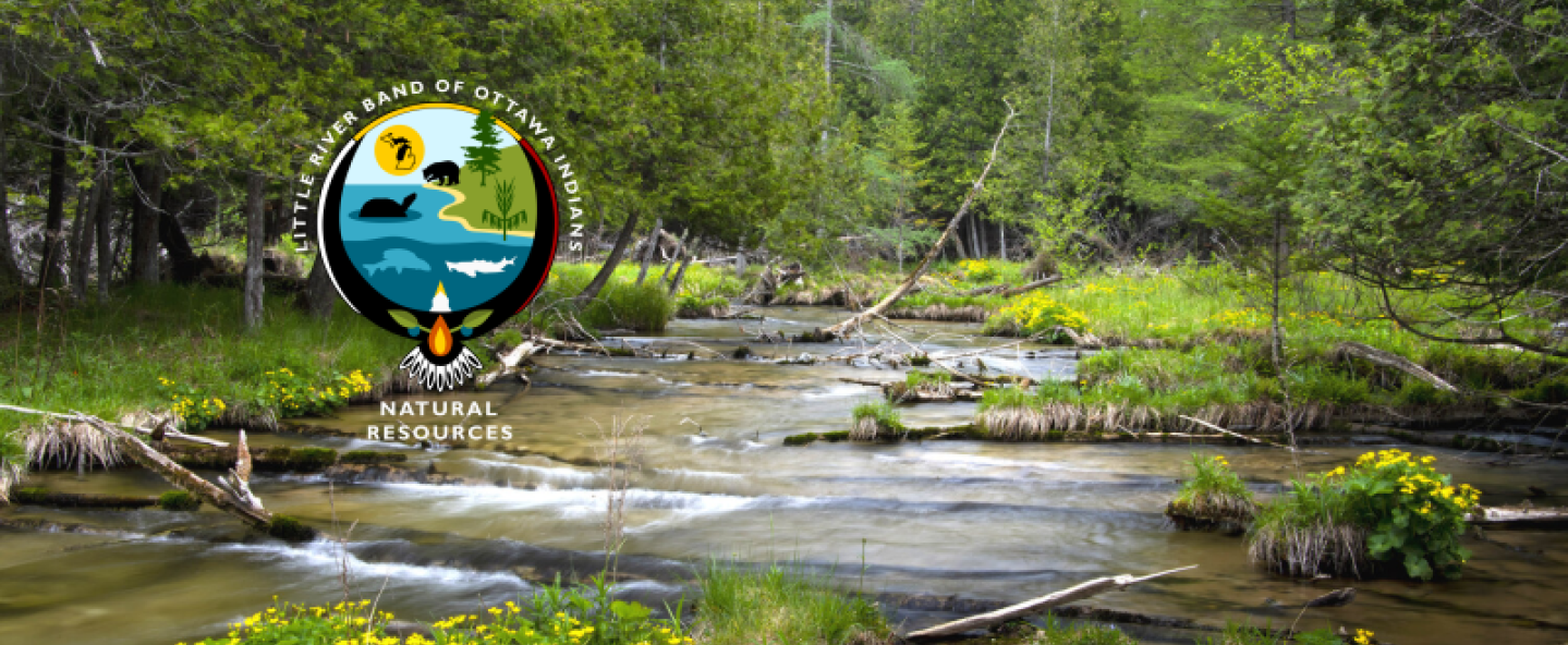 Natural Resources Field Day